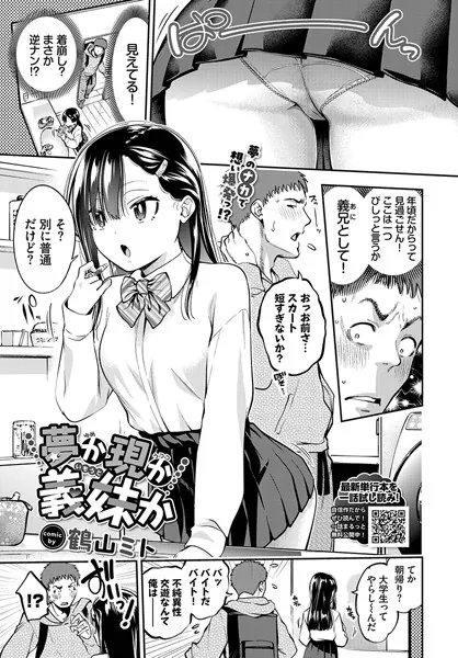 夢か現か義妹か / 鶴山ミト
