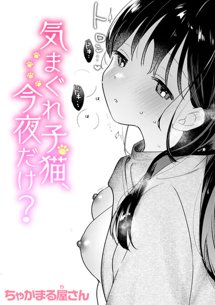 気まぐれ子猫、今夜だけ？ / ちゃかまる屋さん