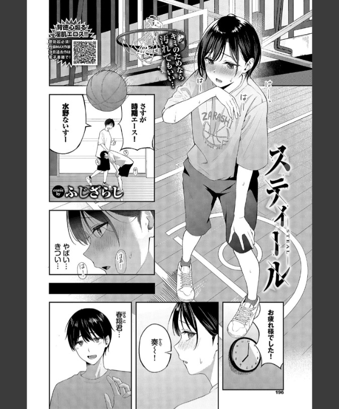 『スティール』（ふじざらし）