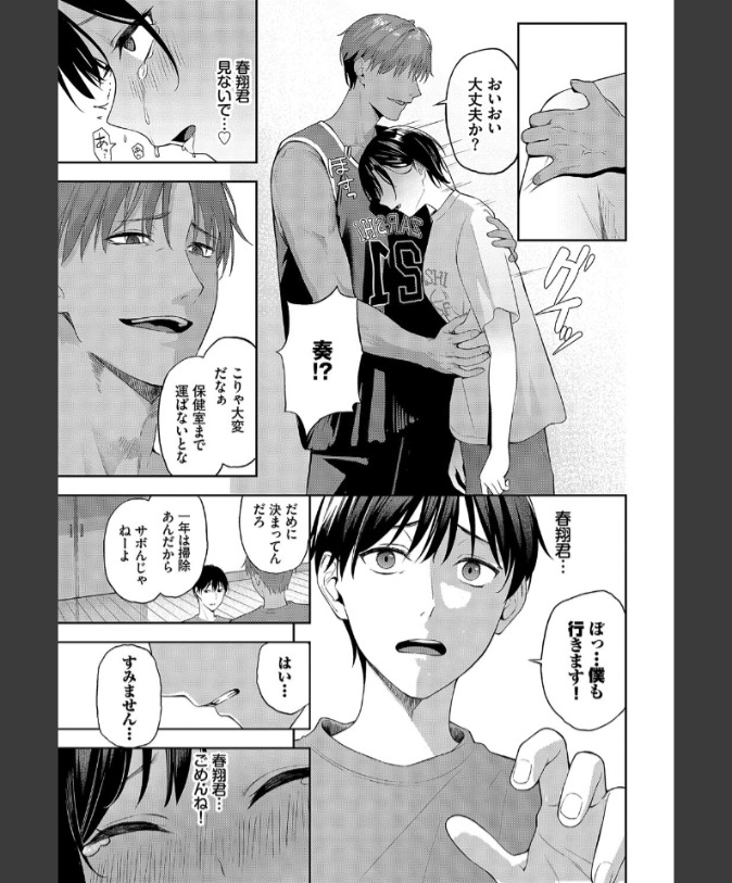 『スティール』（ふじざらし）