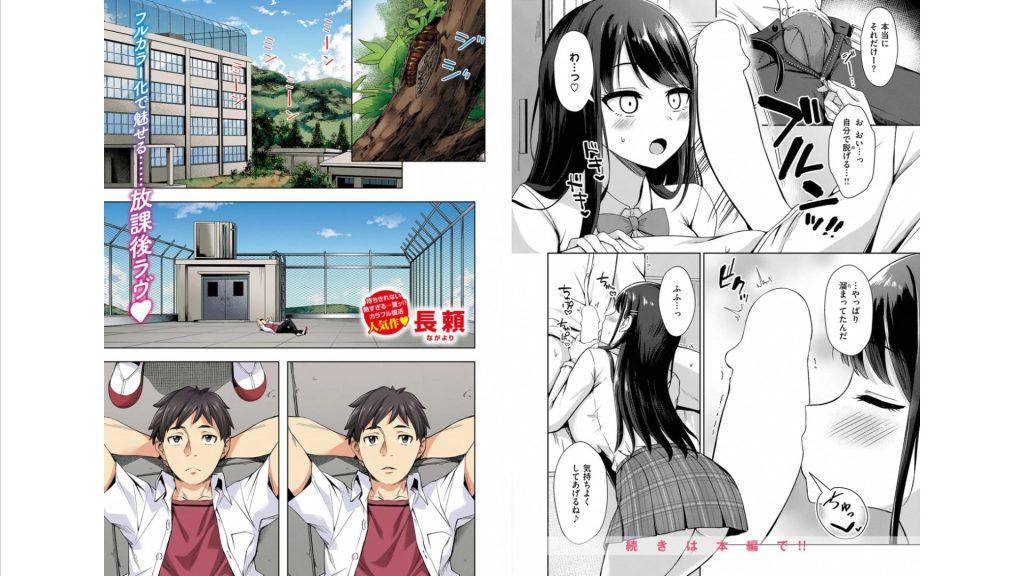 『似たものどうし』(時雨龍之介)