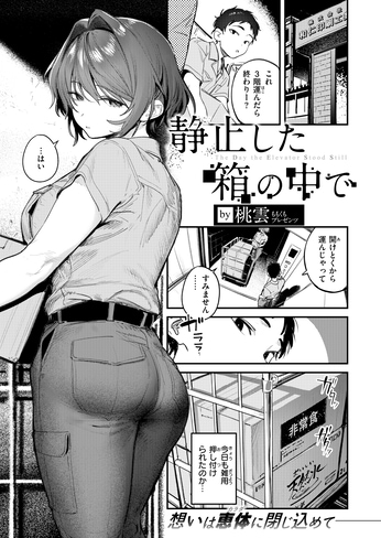 『静止した箱の中で』（桃雲）