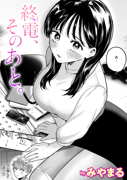 『終電、そのあと。』（みやまる）