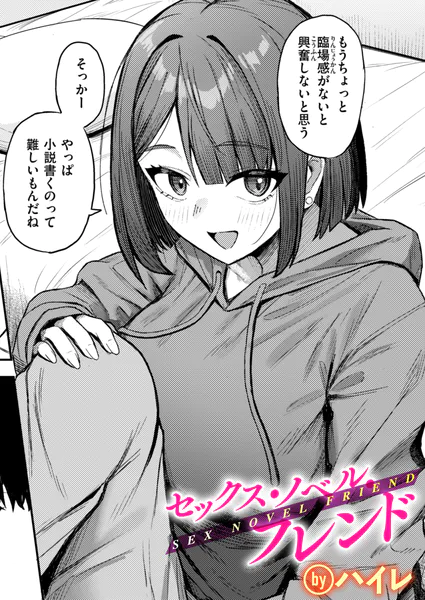 『セックス・ノベル・フレンド』（ハイレ）