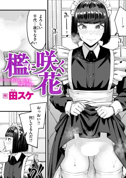 『檻に咲く花』（田スケ）